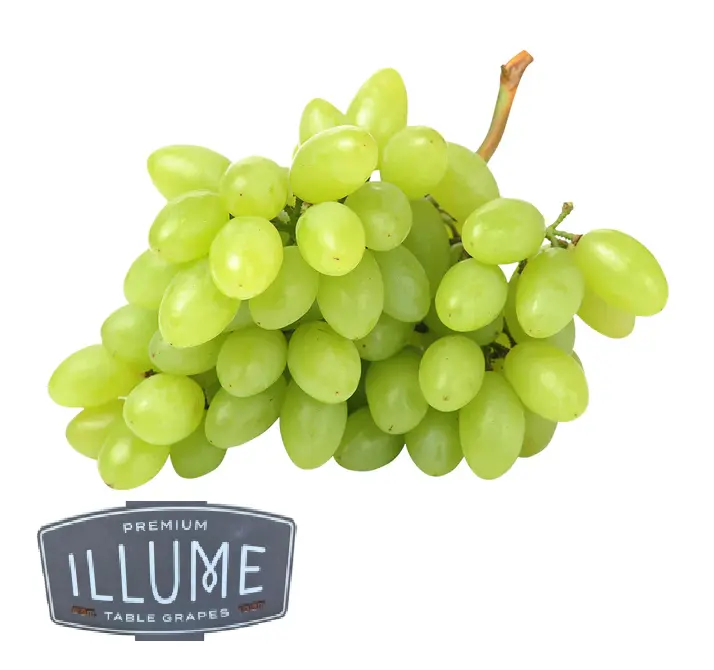 Uva Sweet Globe™ | IFG TEN | ILLUME® | California | GRL