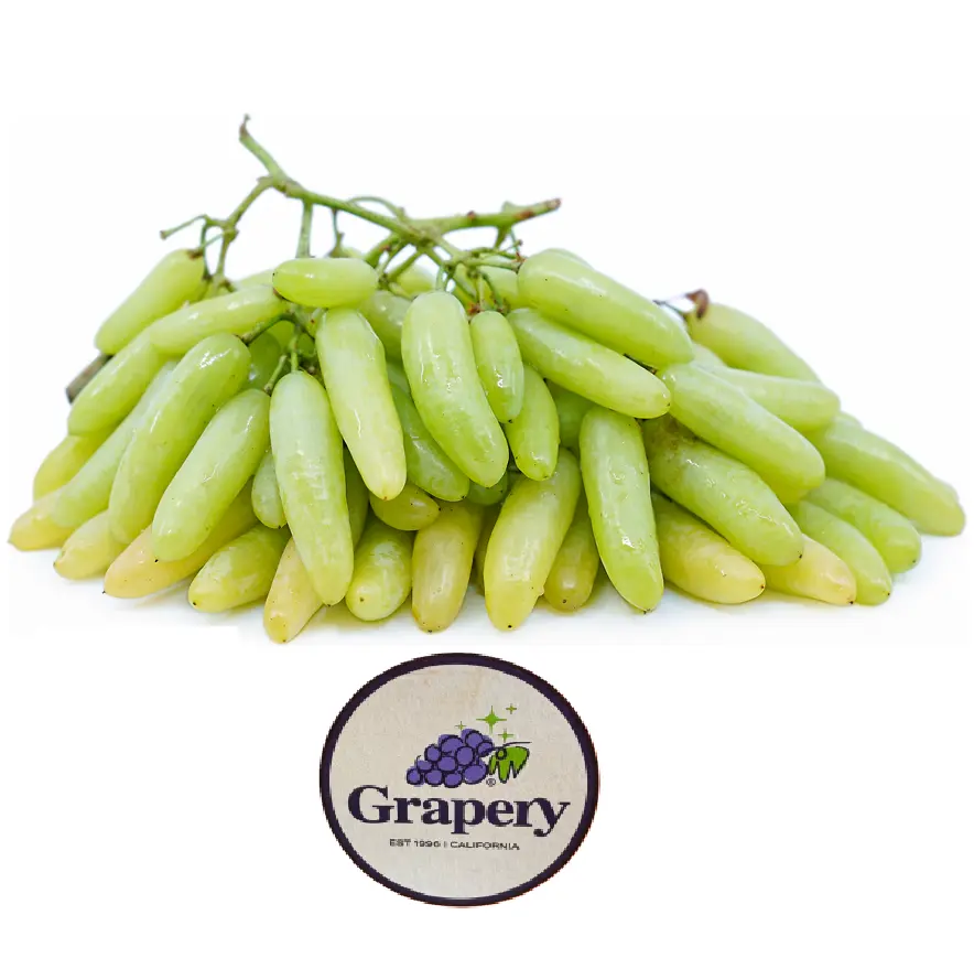 Uva IFG Thirty Two-Quip | Grapery® | California | GRL