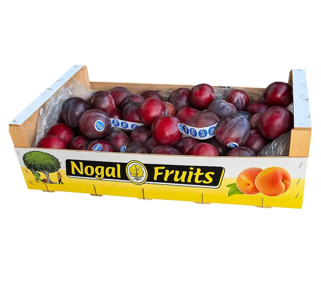 Ciruela Black Splendor | Nogal Fruits® | España | C-MDR ±9KG