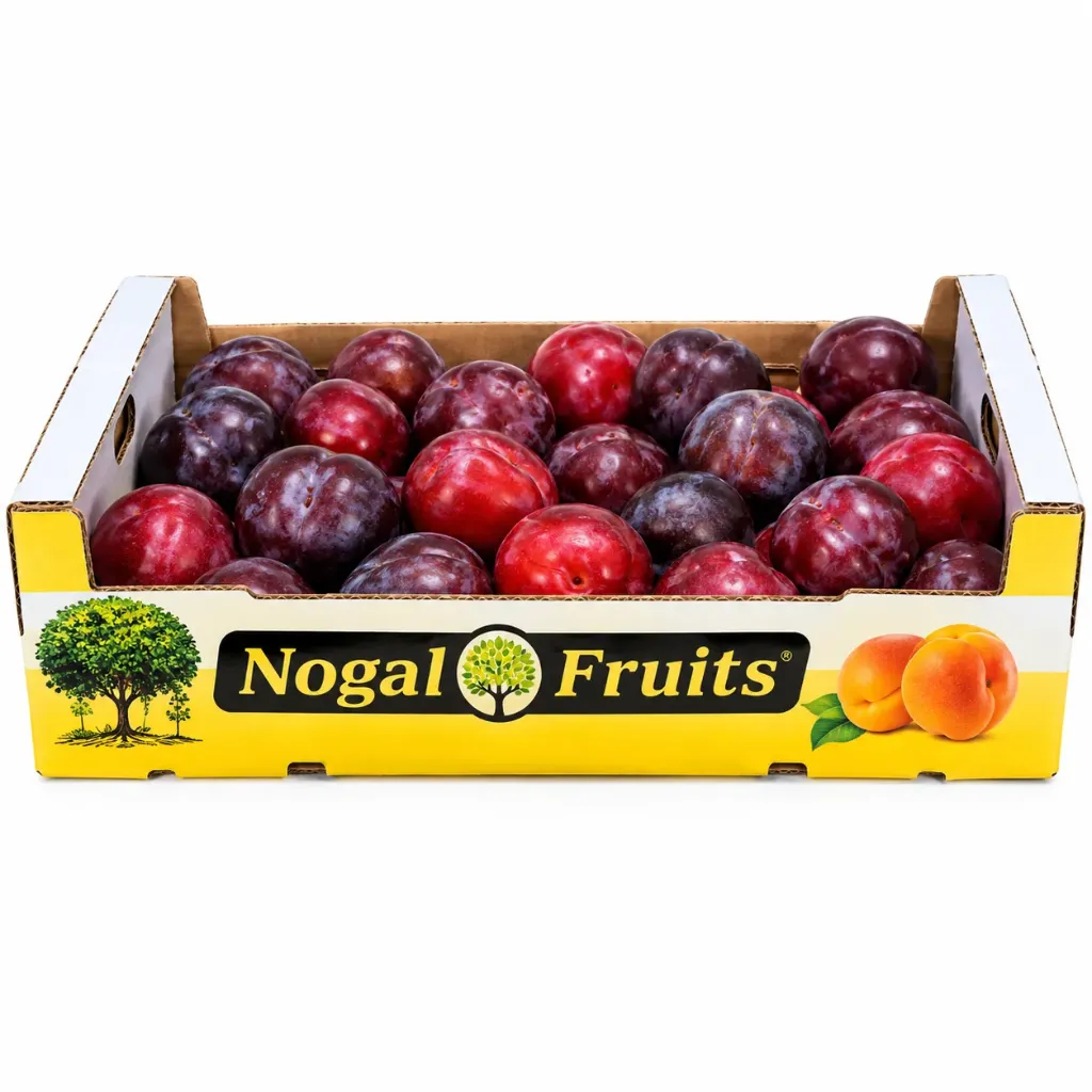 Ciruela Black Splendor | Nogal Fruits® | España | C-MDR ±9KG