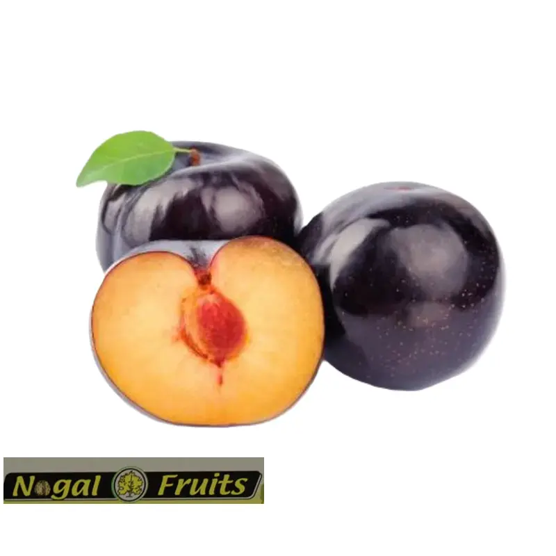Ciruela Anngeleno | Nogal Fruits® | España | BLK