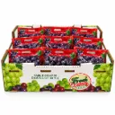 Uva Autumn King | Fresh Farms® | California | C-CTN ±7.5kg                                                           