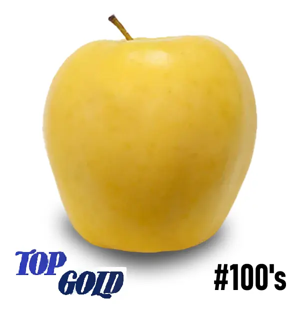 Manzana Golden Delicious | #100's | Top Gold® | Washington | GRL                                                                                  