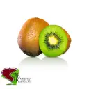 Kiwi Hayward | #23's | San Alberto®| Chile | GRL