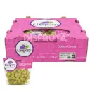 Uva IFG® Seven | Cotton Candy™  | Grapery® | California | C-CTN ±7.25kg - 16lb