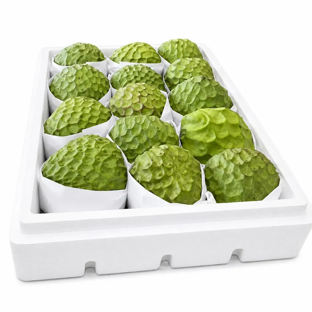 Chirimoya | #11 | Custard Apple | Annona Cherimola | Morelos | C-UNC ±8Kg                                                                                    