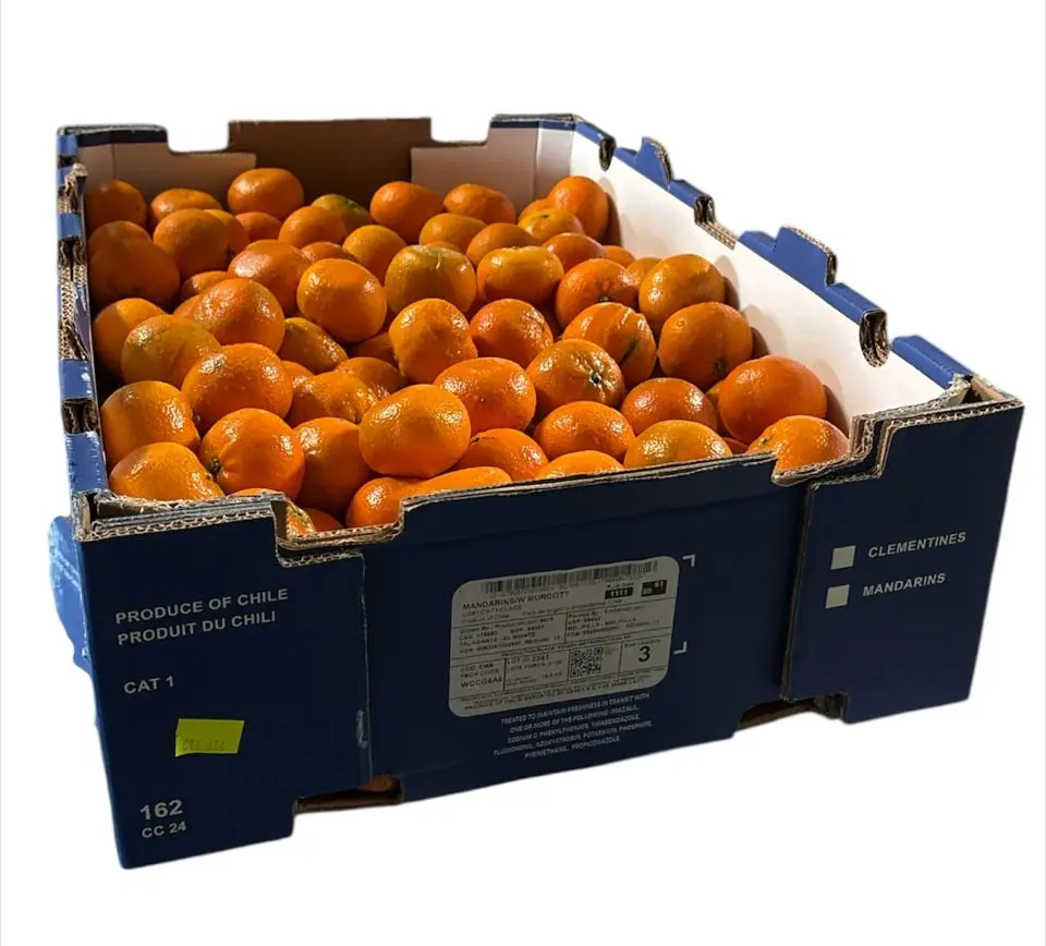 Mandarina Murcott | #3 | Generix | Chile | C-CTN ±15Kg                                              