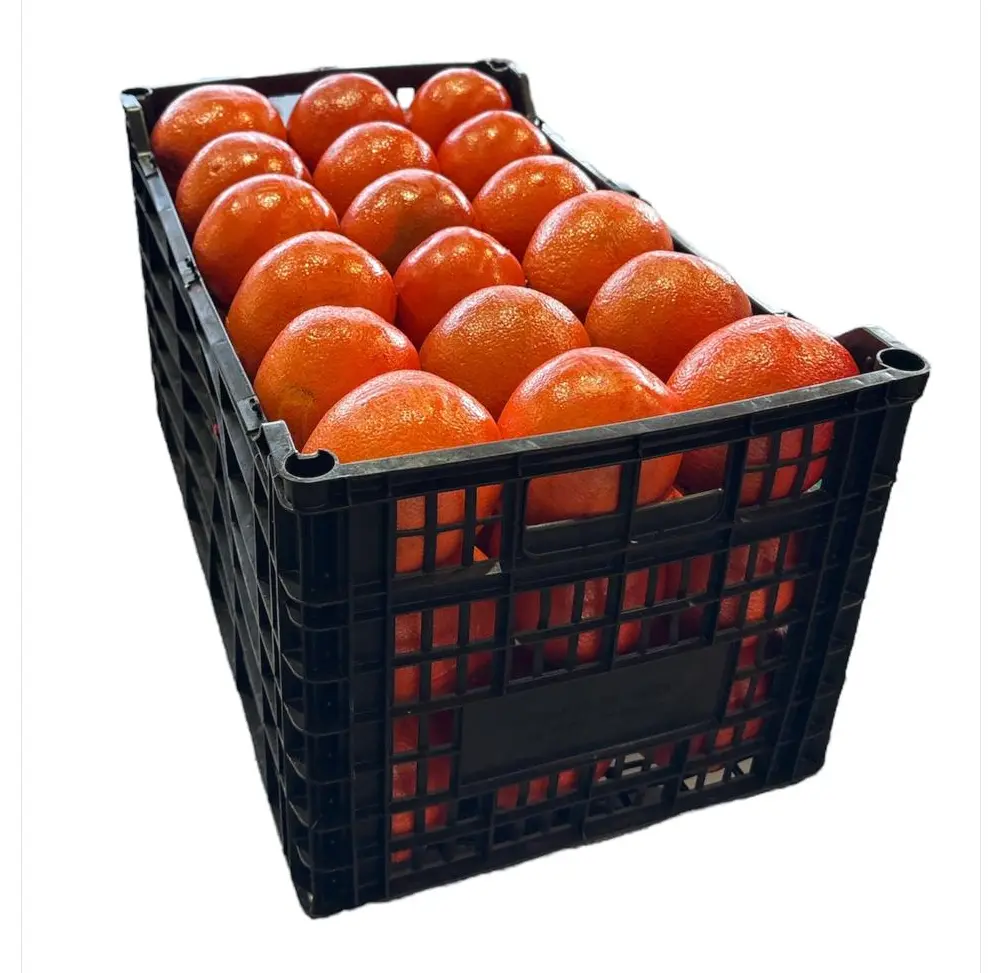 Naranja Navel | Generix | #48 | Veracruz | C-PLS ±19kg                                                                                 