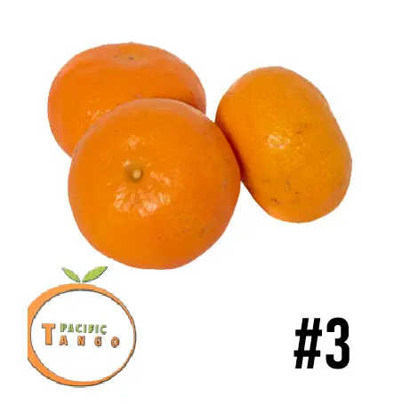 Tango Mandarin | #3 | Pacific Tango® | Chile | BLK-BX 