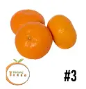 Mandarina Tango | #3 | Pacific Tango® | Chile | GRL 