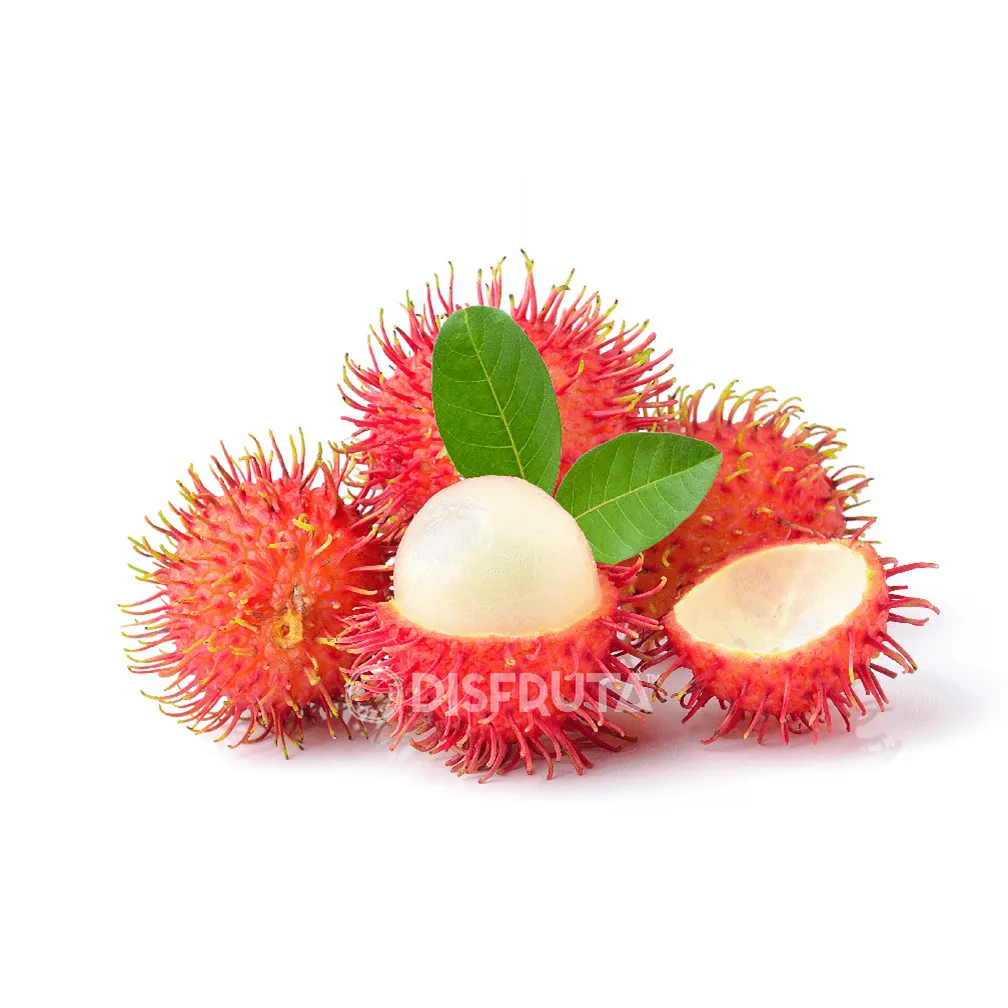 Rambután Rojo | Chiapas | GRL