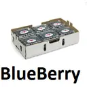 Arándano Azul (Blueberry) | Jalisco | C-CTN 12 Clamshells 170Gr-6Oz                                                                    