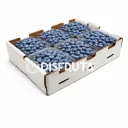 Arándano Azul (Blueberry) | Bayas | Jalisco | C-CTN 12 Clamshells 170Gr-6Oz                                                                    