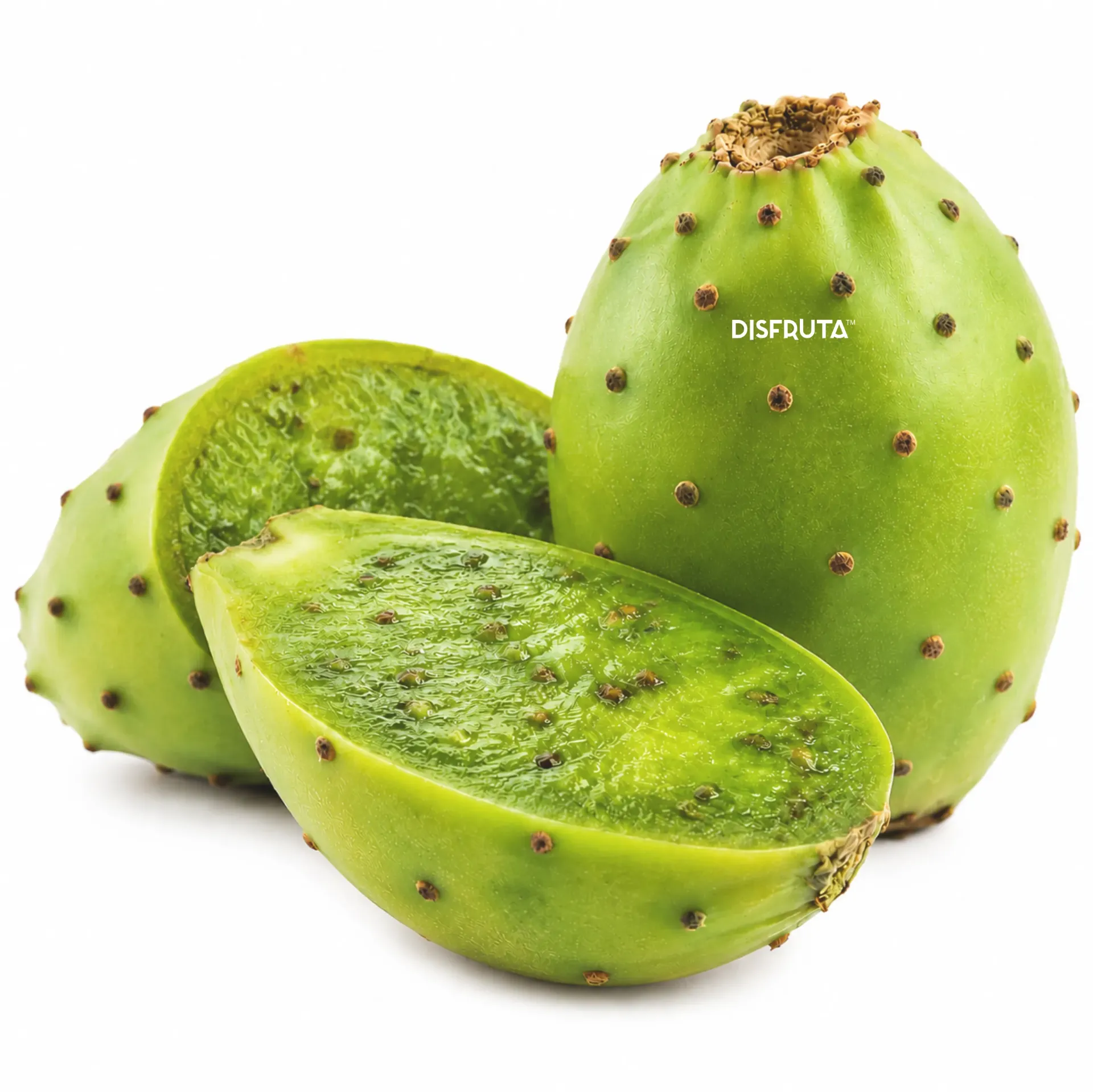 Green Crystal Pricky Pear | ST. México | BLK                                                                               