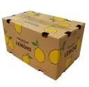 Limón Eureka | #115's | Paramount Citrus® | California | C-CTN ±17Kg                                                                                    