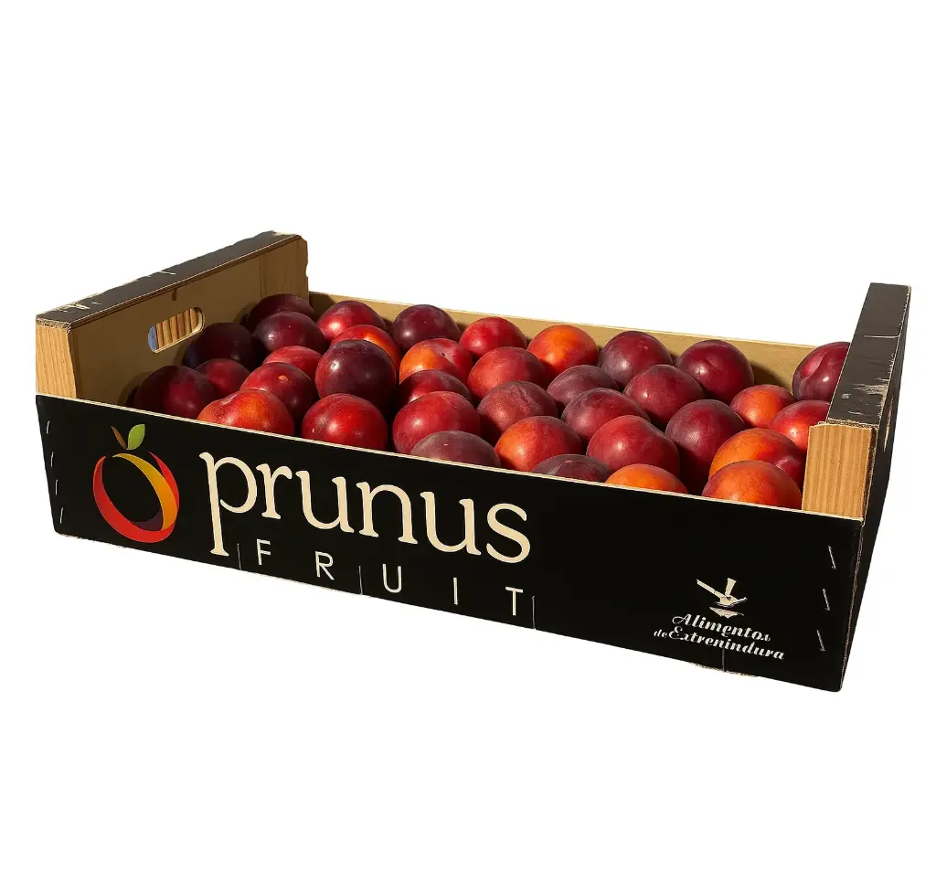 Ciruela Amarilla | N´joyfruit® | España | C-MDR ±9Kg 
