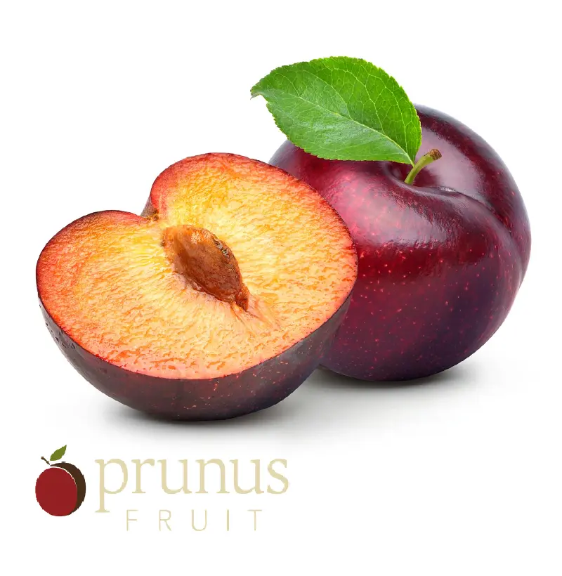 Ciruela John W | Prunus Fruit® | España | GRL 