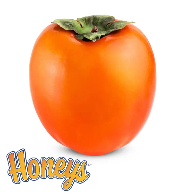 Hachiya Persimmon| Honey's Persimmons® | California | BLK 