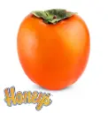 Pérsimo Hachiya (Kaki) | Honey's Persimmons® | California | GRL 
