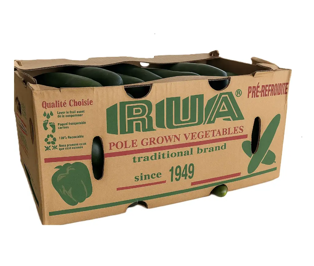 Pepino Americano | RUA® | Sinaloa |  C-CTN ±24Kg                                                                           