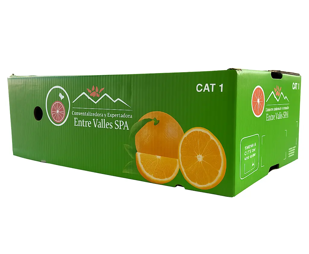 Mandarina Murcott | CAT.1 | #3 | Entre Valles® | Chile | C-CTN ±10Kg                                             