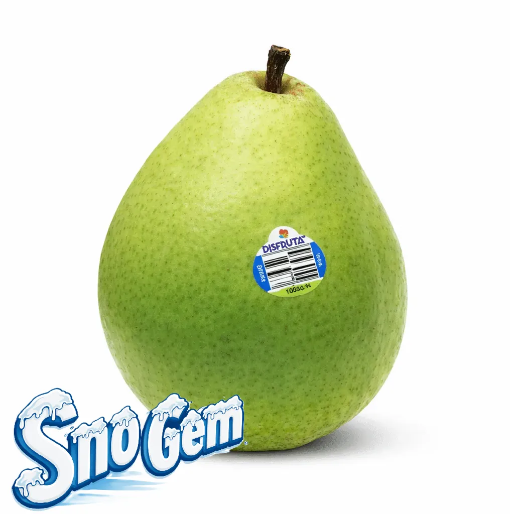 Pera d'Anjou Verde | Sno Gem® | #80'S | Washington |  GRL 