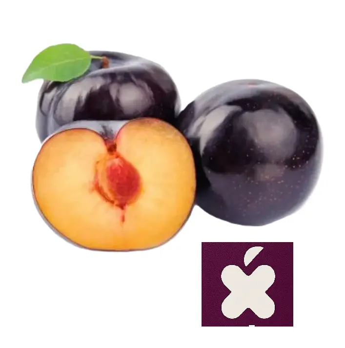 Ciruela Anngeleno | C #55-60 | Explum® | España | GRL