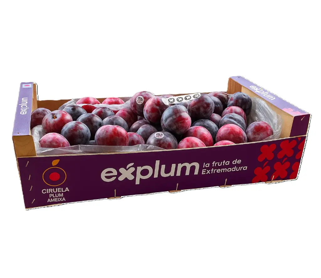 Ciruela Anngeleno | C #55-60 | Explum® | España | C-MDR ±9Kg 