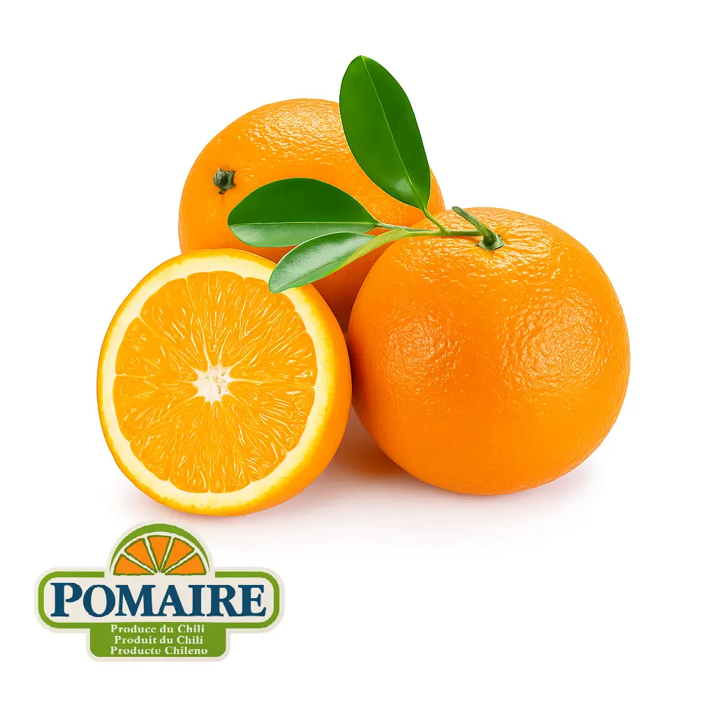 Naranja Lane Late | Pomaire® | #56 | Chile | GRL                                                              