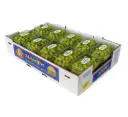 Uva Stella Bella | Sunview® | California | 10 Clamshells | C-CTN ±10kg - 22.04lb