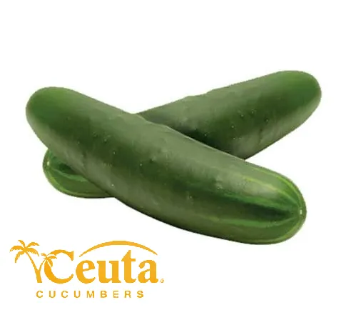 Pepino Americano | P.Inv. | Ceuta® | Sinaloa | GRL                                                                                    