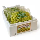 Uva Autumn King® | Flying High® | California |  C-UNC ±8.3KG                                                                                 