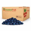 Infused Dried Blueberries | Graceland Fruit® | E.U.A. | CTN-BX 25Lb