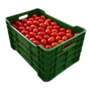 Tomate Saladet | #M | P.Invernadero | Guanajuato | C-PLS ±30KG                                                                                              