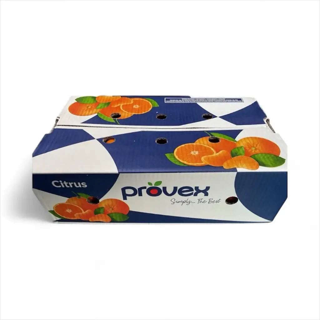 Mandarina Murcott | #4X | Provex® | Perú | C-CTN ±10Kg                                             