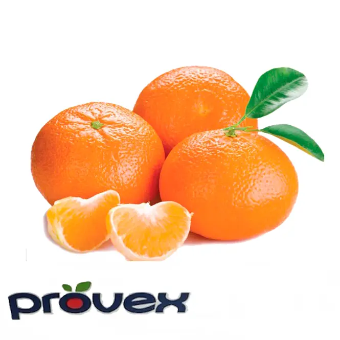 Mandarina Murcott | #2 | Provex® | Perú | GRL 