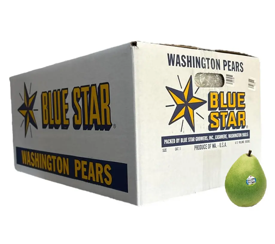 Pera D'Anjou Verde | #70's | Blue Star® | Washington | C-CTN ±20KG  