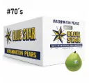 Pera Bearre D'Anjou Verde | #70's | Blue Star® | Washington | C-CTN ±19KG