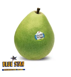 Pera Beaurre d'Anjou | #70'S | Blue Star® | Washington | GRL  