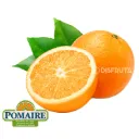 Naranja Navel | Pomaire® | #88's | Chile | GRL