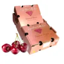 Cereza Santina | #3JD | ® | Chile | C-CTN ±5Kg  (copia)