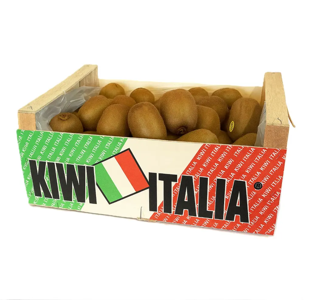 Kiwi Hayward | #23´s | KiwItalia® | Italia  | C-MDR  ±10Kg                                                                                
