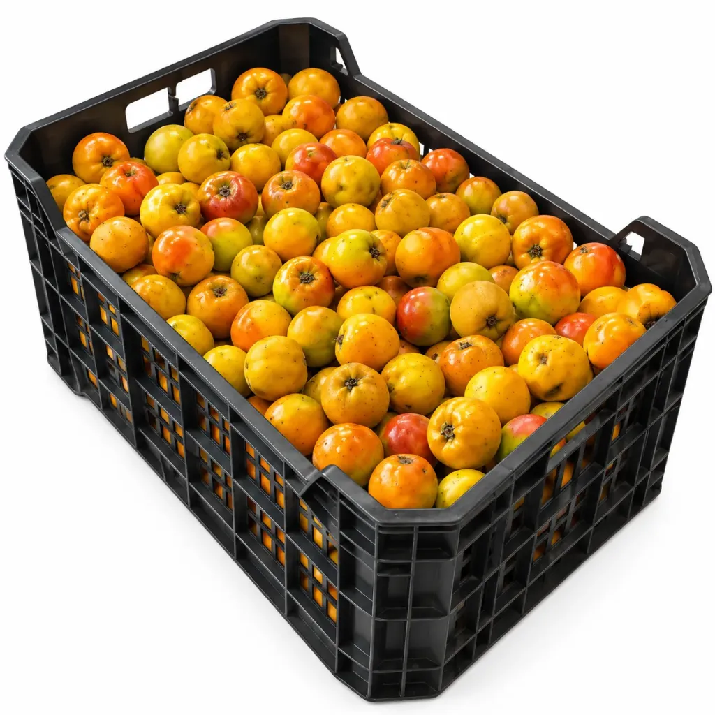 Mexican Hawthorn (Tejocote) | #Jumbo | Morelos | PLS-CRT ±14kg                                                                                   