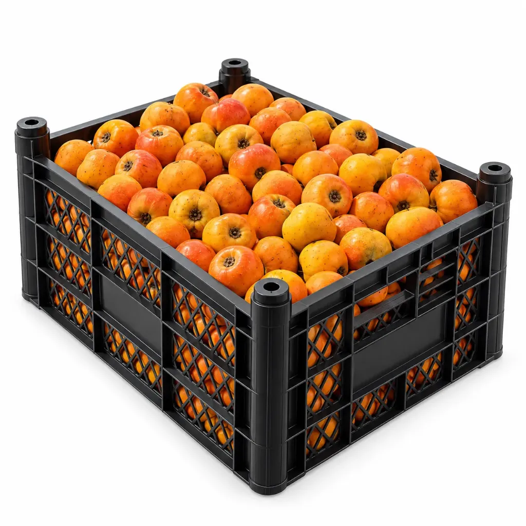 Tejocote Trayci. | #Jumbo | Morelos | C-PLS ±9kg