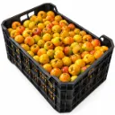 Tejocote Trayci | #Jumbo | Morelos | C-PLS ±14kg
