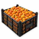 Tejocote Trayci. | #Jumbo | Morelos | C-PLS ±9kg
