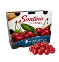 Cereza Santina | #2J | Viconto® | Chile | C-PLS ±2.5Kg    