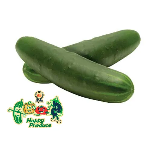 Pepino Americano | P.Inv. | Happy Produce® | Sinaloa | GRL                                                                                    