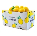 Limón Eureka | #95's | Paramount Citrus® | California | C-CTN ±17Kg                                                                                     