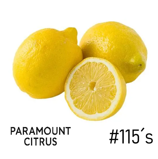 Limón Eureka | #95's | Paramount Citrus® | California | GRL 